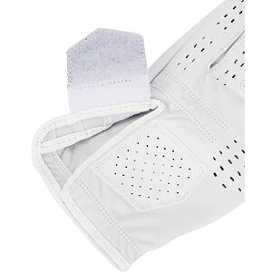 Pánská golfová rukavice Under Armour Tour Golf Glove