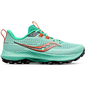 Dámska obuv Saucony S10838-25 PEREGRINE 13