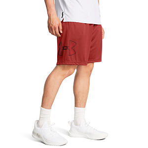 Pánské kraťasy Under Armour Tech Graphic Short