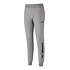 Pánské tepláky Mizuno Terry Pant