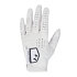 Pánská golfová rukavice Under Armour Tour Golf Glove