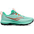 Dámska obuv Saucony S10838-25 PEREGRINE 13