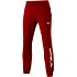Pánské tepláky Mizuno Terry Pant