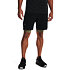 Pánske kraťasy Under Armour Vanish Woven Shorts