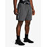 Pánske kraťasy Under Armour Woven Wordmark Shorts