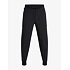 Pánske športové nohavice Under Armour TRAIL RUN PANTS